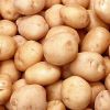 Продавцы овощей закупают голландский картофель